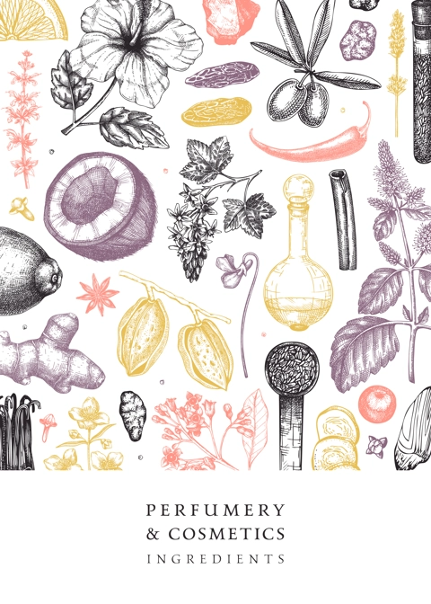 Aromatic plants flyer template. Perfumery ingredients banner. Flower, fruit, spice, herb sketches. Hand drawn vector illustration. Cosmetics packaging design